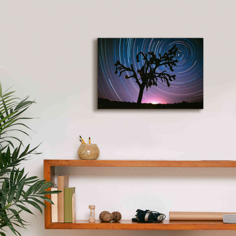 Image of 'Joshua Tree North Star Proc' by Thomas Haney, Giclee Canvas Wall Art,18 x 12