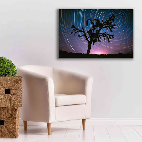 Image of 'Joshua Tree North Star Proc' by Thomas Haney, Giclee Canvas Wall Art,40 x 26