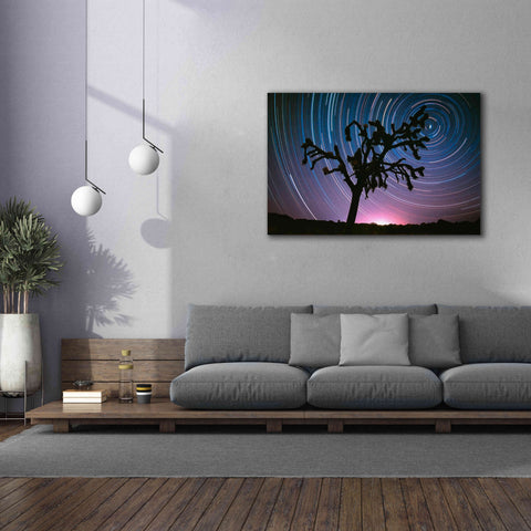 Image of 'Joshua Tree North Star Proc' by Thomas Haney, Giclee Canvas Wall Art,60 x 40