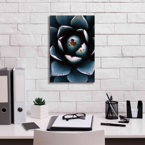 Image of 'Ladybugs Agave' by Thomas Haney, Giclee Canvas Wall Art,12 x 18