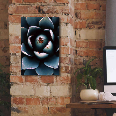 Image of 'Ladybugs Agave' by Thomas Haney, Giclee Canvas Wall Art,12 x 18