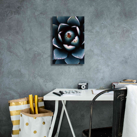 Image of 'Ladybugs Agave' by Thomas Haney, Giclee Canvas Wall Art,12 x 18