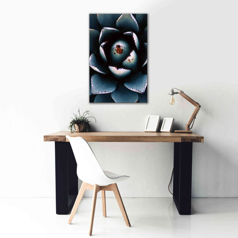Image of 'Ladybugs Agave' by Thomas Haney, Giclee Canvas Wall Art,26 x 40