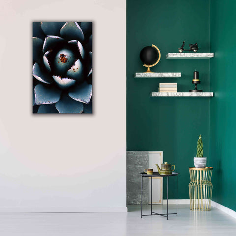 Image of 'Ladybugs Agave' by Thomas Haney, Giclee Canvas Wall Art,26 x 40