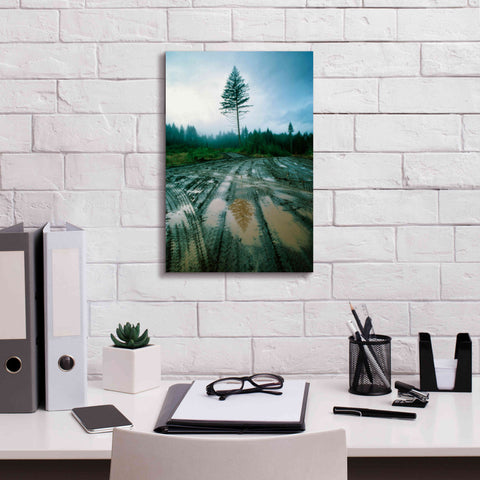 Image of 'Lonefir' by Thomas Haney, Giclee Canvas Wall Art,12 x 18