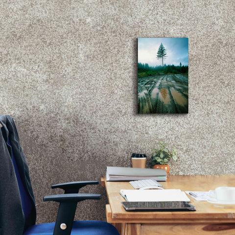 Image of 'Lonefir' by Thomas Haney, Giclee Canvas Wall Art,12 x 18
