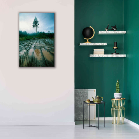 Image of 'Lonefir' by Thomas Haney, Giclee Canvas Wall Art,26 x 40