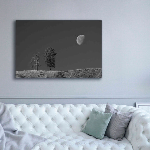 Image of 'Moon Trees Hill' by Thomas Haney, Giclee Canvas Wall Art,60 x 40