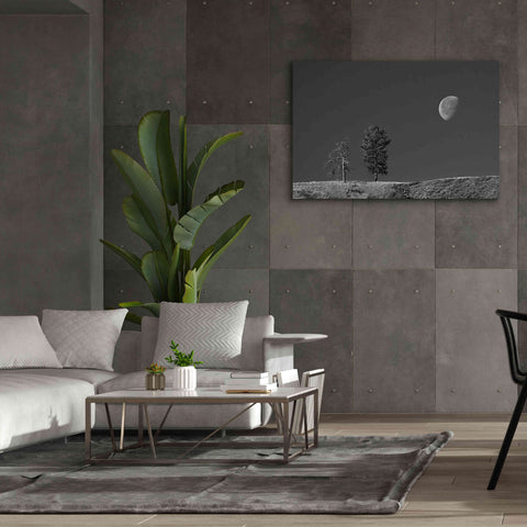 Image of 'Moon Trees Hill' by Thomas Haney, Giclee Canvas Wall Art,60 x 40