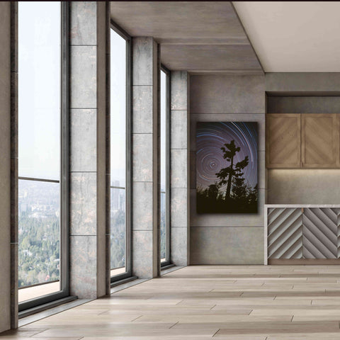 Image of 'Polaris Pine' by Thomas Haney, Giclee Canvas Wall Art,40 x 60