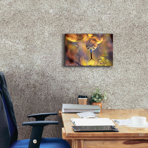 Image of 'Rattle' by Thomas Haney, Giclee Canvas Wall Art,18 x 12