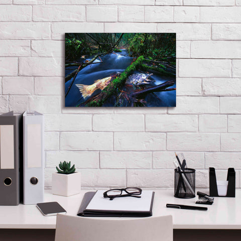 Image of 'Salmon Trapped' by Thomas Haney, Giclee Canvas Wall Art,18 x 12