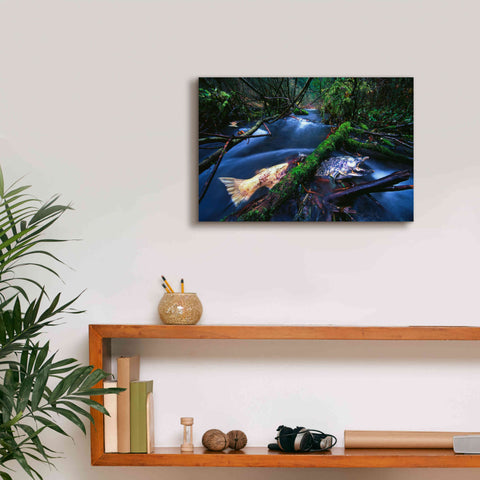 Image of 'Salmon Trapped' by Thomas Haney, Giclee Canvas Wall Art,18 x 12
