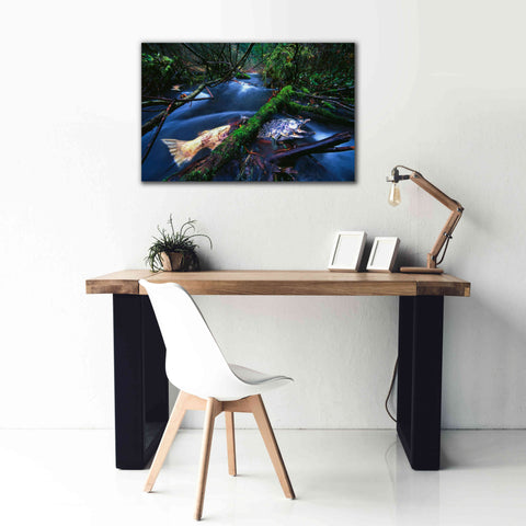 Image of 'Salmon Trapped' by Thomas Haney, Giclee Canvas Wall Art,40 x 26