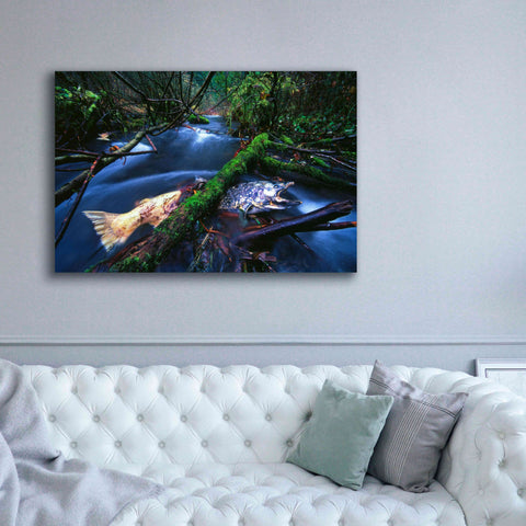 Image of 'Salmon Trapped' by Thomas Haney, Giclee Canvas Wall Art,60 x 40