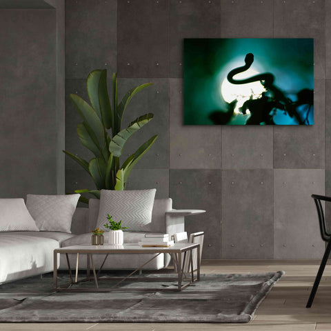 Image of 'Snake Sun' by Thomas Haney, Giclee Canvas Wall Art,60 x 40