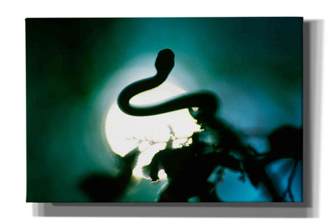 Image of 'Snake Sun' by Thomas Haney, Giclee Canvas Wall Art