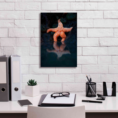 Image of 'Starfish Reflection 2' by Thomas Haney, Giclee Canvas Wall Art,12 x 18