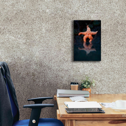 Image of 'Starfish Reflection 2' by Thomas Haney, Giclee Canvas Wall Art,12 x 18