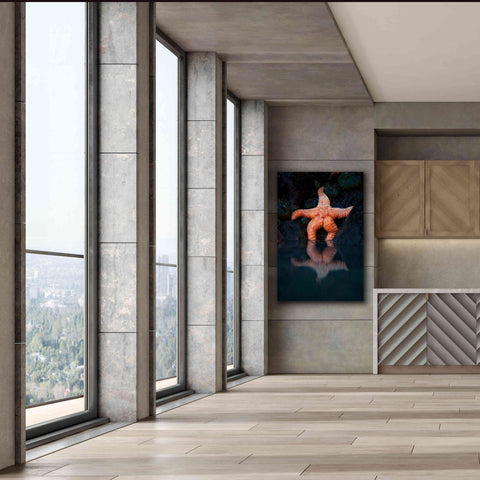 Image of 'Starfish Reflection 2' by Thomas Haney, Giclee Canvas Wall Art,40 x 60