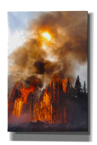 Image of 'Torching' by Thomas Haney, Giclee Canvas Wall Art