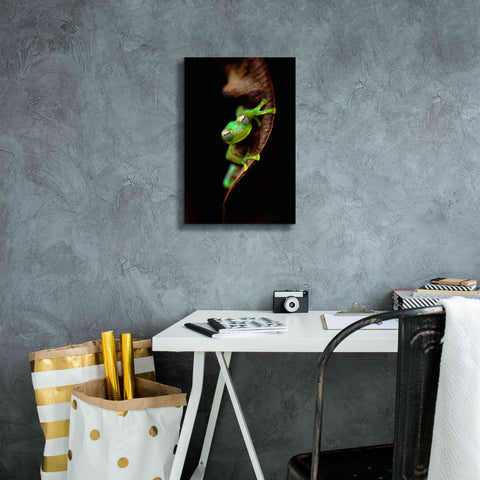 Image of 'Frog Portrait' by Thomas Haney, Giclee Canvas Wall Art,12 x 18