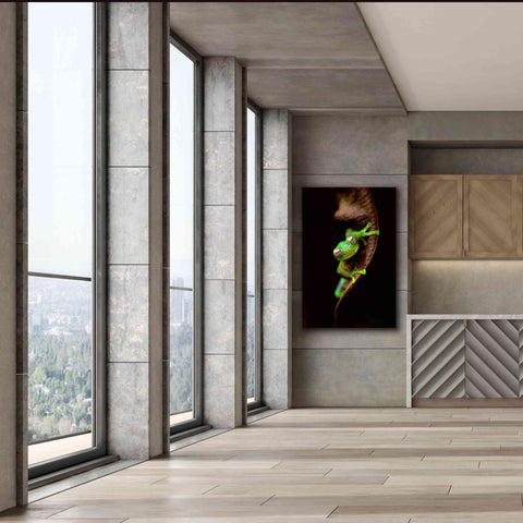 Image of 'Frog Portrait' by Thomas Haney, Giclee Canvas Wall Art,40 x 60