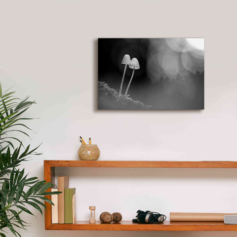 Image of 'Mushroom Tiny' by Thomas Haney, Giclee Canvas Wall Art,18 x 12