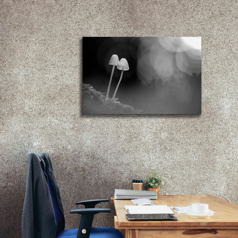 Image of 'Mushroom Tiny' by Thomas Haney, Giclee Canvas Wall Art,40 x 26