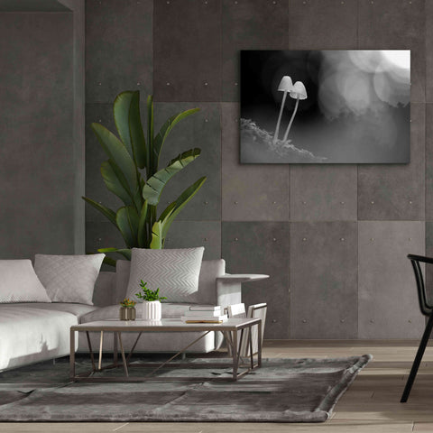 Image of 'Mushroom Tiny' by Thomas Haney, Giclee Canvas Wall Art,60 x 40