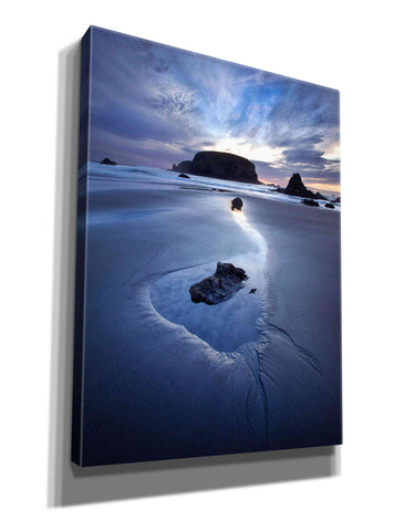 Image of 'Reflection Whale Head' by Thomas Haney, Giclee Canvas Wall Art