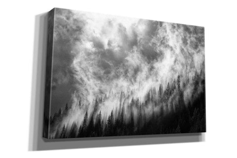 Image of 'Rising Mist 3' by Thomas Haney, Giclee Canvas Wall Art
