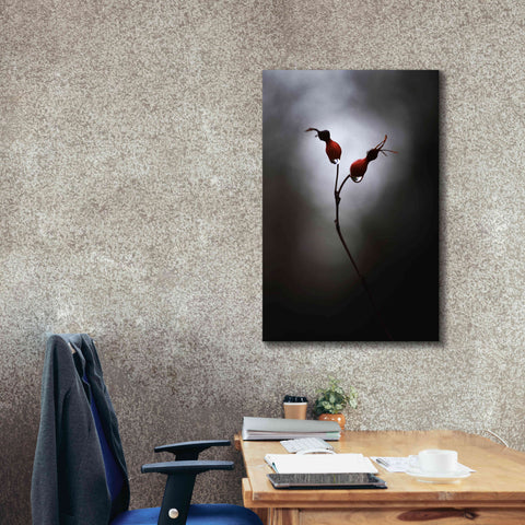 Image of 'Rose Hips' by Thomas Haney, Giclee Canvas Wall Art,26 x 40