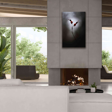 Image of 'Rose Hips' by Thomas Haney, Giclee Canvas Wall Art,26 x 40
