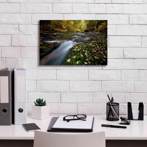 Image of 'Rushing Best' by Thomas Haney, Giclee Canvas Wall Art,18 x 12