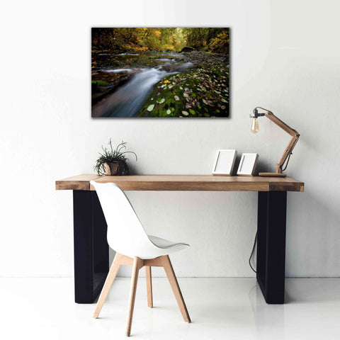 Image of 'Rushing Best' by Thomas Haney, Giclee Canvas Wall Art,40 x 26