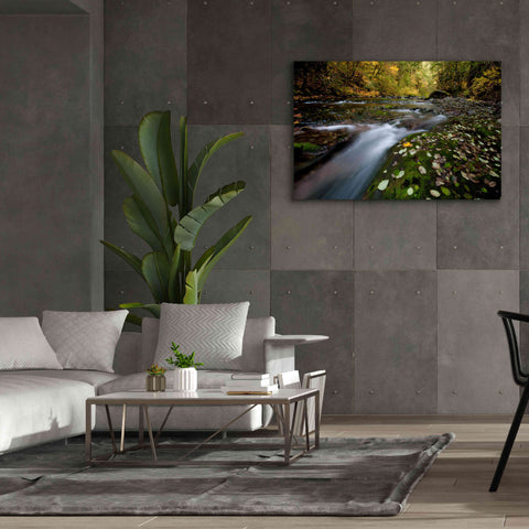 Image of 'Rushing Best' by Thomas Haney, Giclee Canvas Wall Art,60 x 40