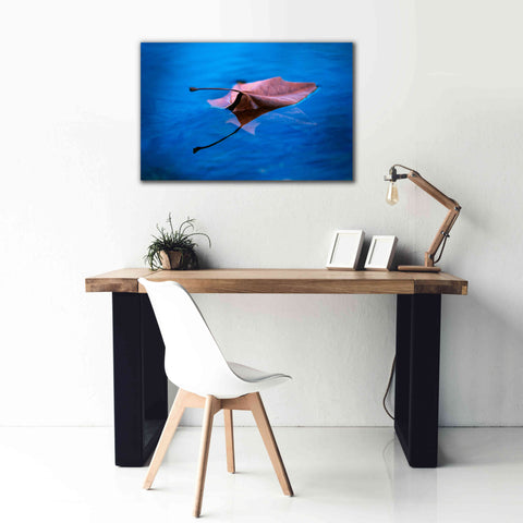 Image of 'Sycamore Reflection' by Thomas Haney, Giclee Canvas Wall Art,40 x 26