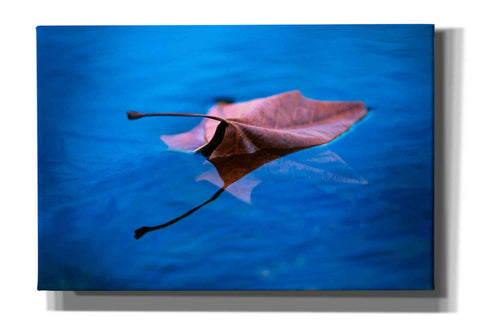 Image of 'Sycamore Reflection' by Thomas Haney, Giclee Canvas Wall Art