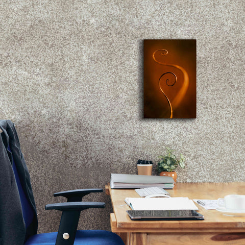 Image of 'Tendrils Red' by Thomas Haney, Giclee Canvas Wall Art,12 x 18