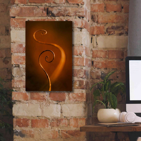 Image of 'Tendrils Red' by Thomas Haney, Giclee Canvas Wall Art,12 x 18