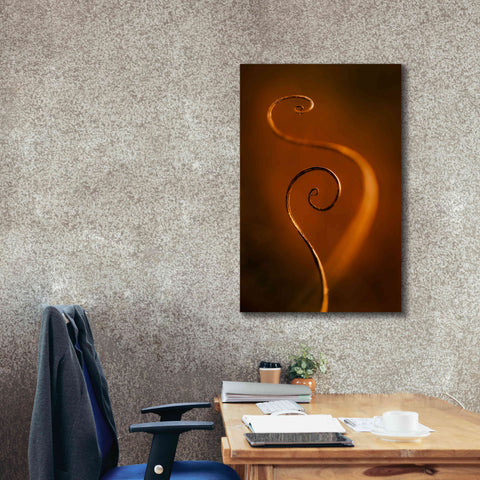 Image of 'Tendrils Red' by Thomas Haney, Giclee Canvas Wall Art,26 x 40