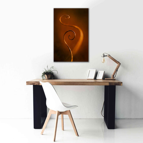 Image of 'Tendrils Red' by Thomas Haney, Giclee Canvas Wall Art,26 x 40