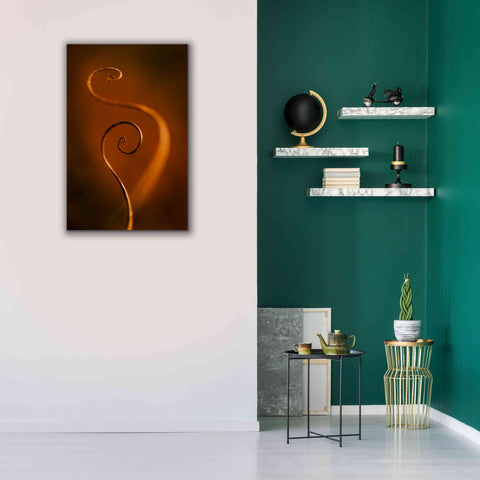 Image of 'Tendrils Red' by Thomas Haney, Giclee Canvas Wall Art,26 x 40