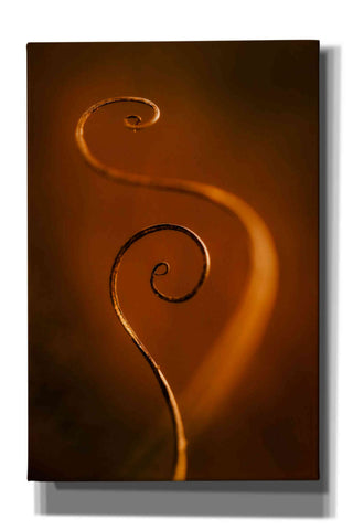 Image of 'Tendrils Red' by Thomas Haney, Giclee Canvas Wall Art