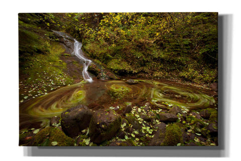 Image of 'Three Blurs' by Thomas Haney, Giclee Canvas Wall Art