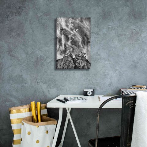Image of 'Tree Island Clouds B&W Pushed' by Thomas Haney, Giclee Canvas Wall Art,12 x 18