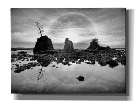 Image of 'Tree Island' by Thomas Haney, Giclee Canvas Wall Art