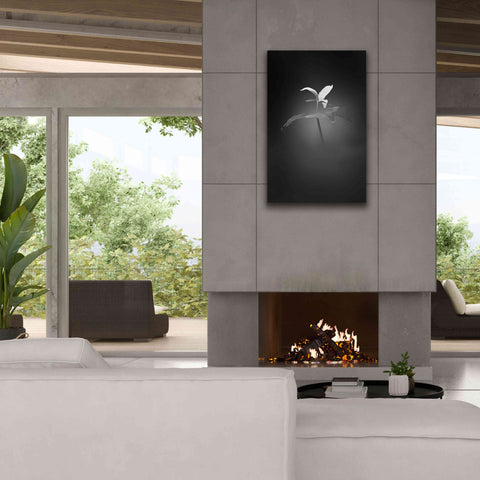 Image of 'Trillium Pastel 1 B&W' by Thomas Haney, Giclee Canvas Wall Art,26 x 40