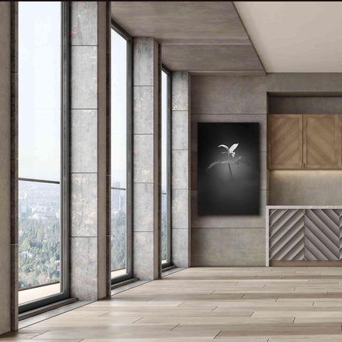 Image of 'Trillium Pastel 1 B&W' by Thomas Haney, Giclee Canvas Wall Art,40 x 60
